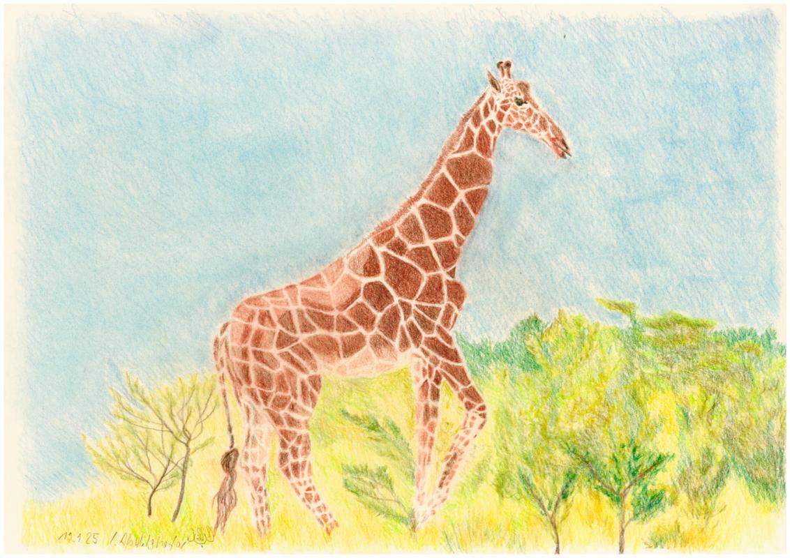 Netzgiraffe - Claudia Lüthi