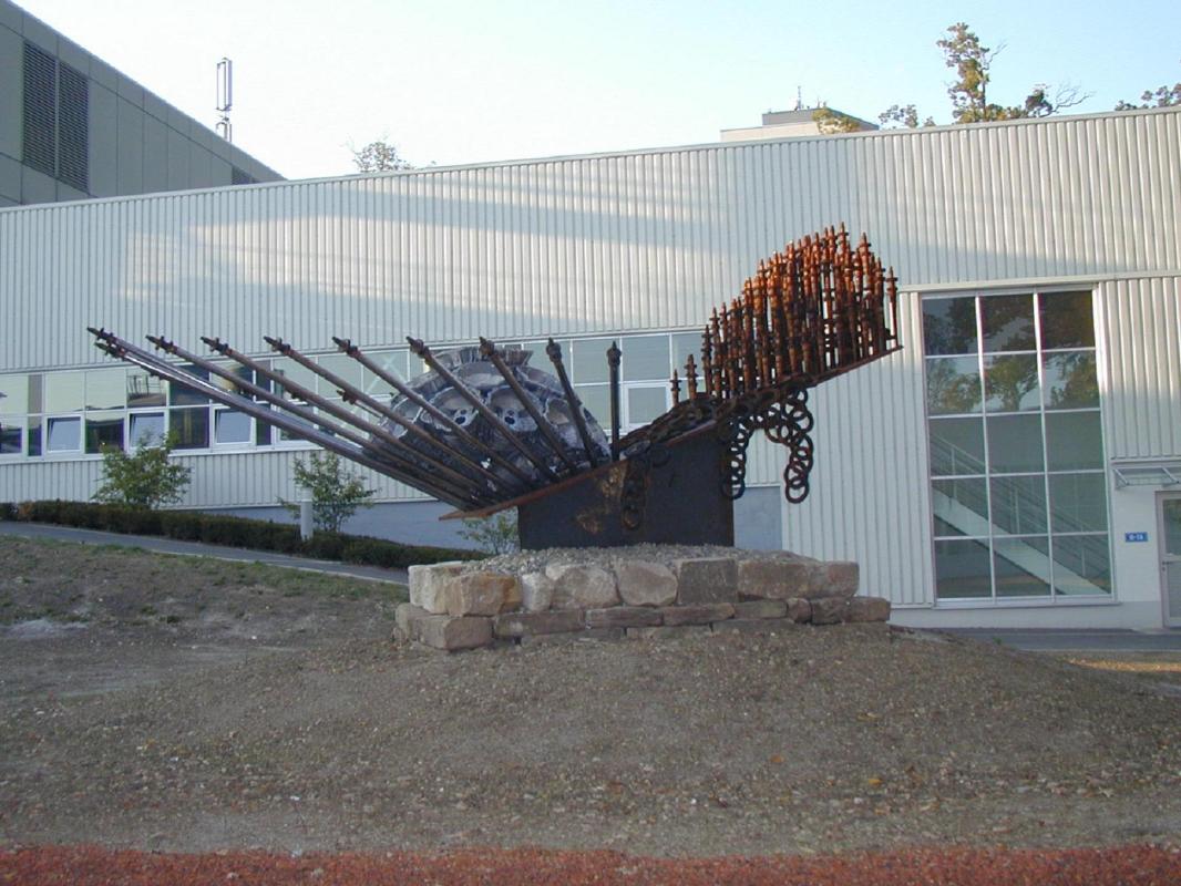 Die Arhe - Zdravko Radenkovic