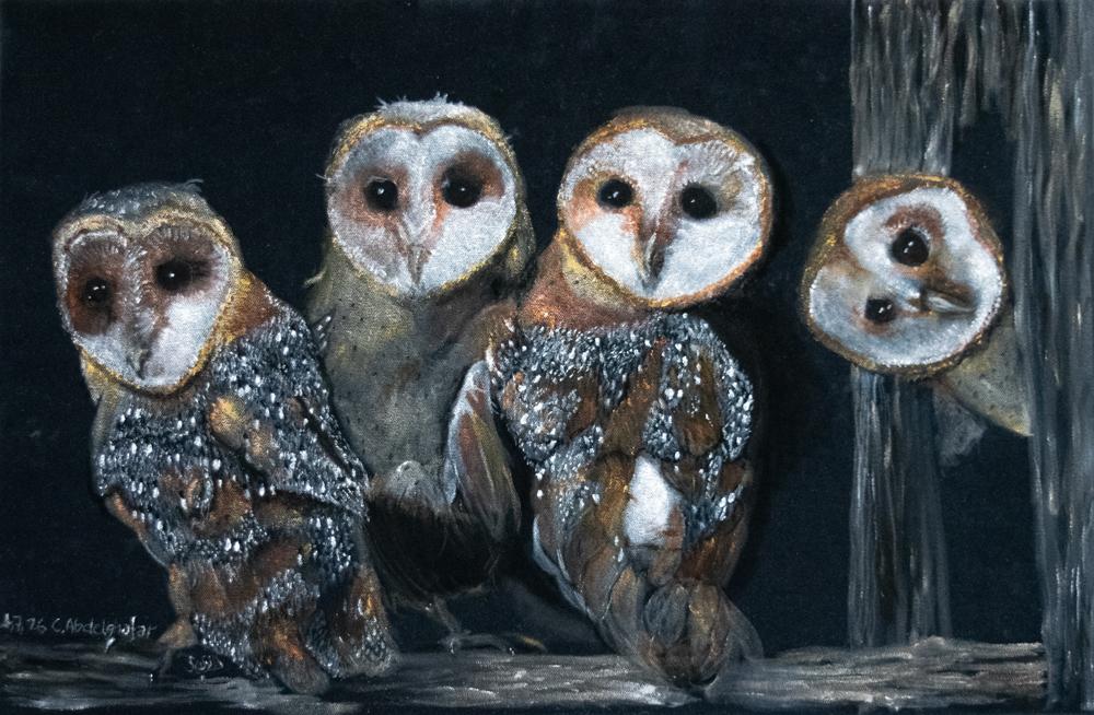 Neues Kunstwerk - Claudia Lüthi