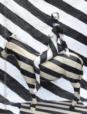 Zebra - Striped - Christine Dumbsky