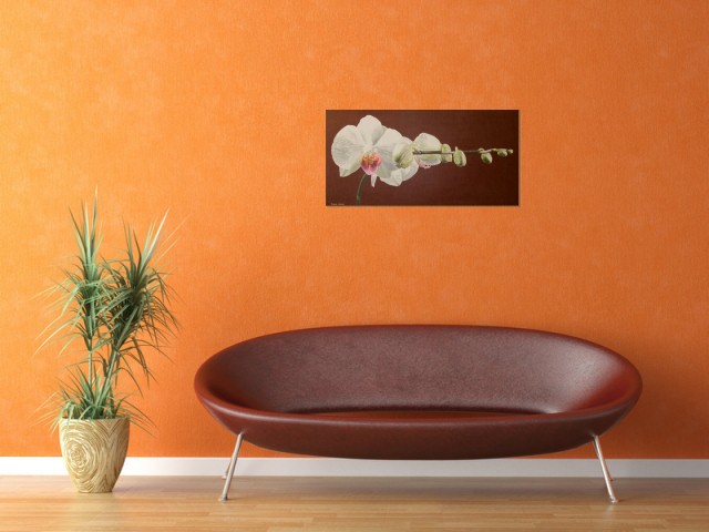 Eleganza - dunjate Kunst in Acryl (Room setting (c)fotolia.de, (c)artfolio.de)