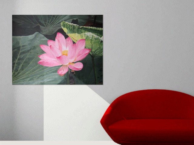 Li-La-Lotus - dunjate Kunst in Acryl (Room setting (c)fotolia.de, (c)artfolio.de)