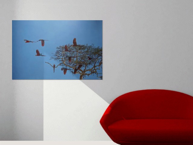 Papageien-Baum - dunjate Kunst in Acryl (Room setting (c)fotolia.de, (c)artfolio.de)