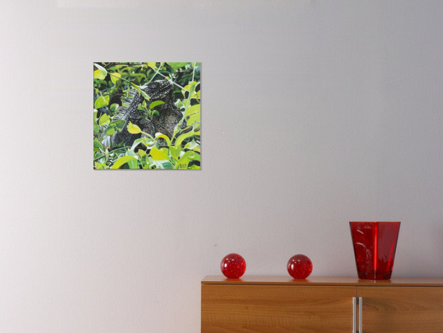 Iguana View - dunjate Kunst in Acryl (Raumsituation (c)fotolia.de, (c)artfolio.de)