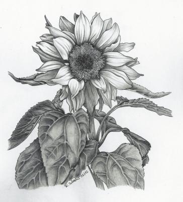 Kunstgalerie von Kerstin Schröder - Sonnenblume 