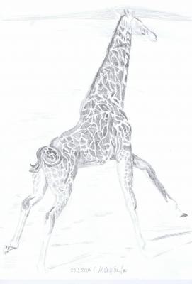 Giraffe - Claudia Lüthi