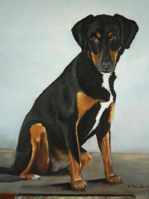 Hunde-Portrait - Zdravko Radenkovic