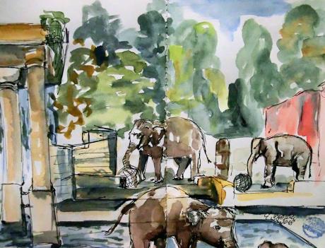 Elefantengehege - Evelyn Brosche