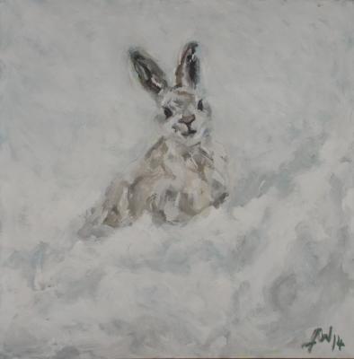 White Rabbit, White Rabbit - Anja Mueller-Wood
