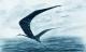Art object - Quetzalcoatlus