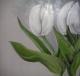 Kunstwerk - weisse Tulpen