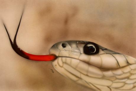 Schlange - Günter Stieger - Array auf - Array - Array Schlange - Günter Stieger - Array auf - Array - Array