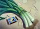 Kunstwerk - Caution leeks---
