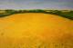 Art object - ---Rapsfeld