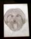 Art object - Â© atelier-hagen Hundedame Paula