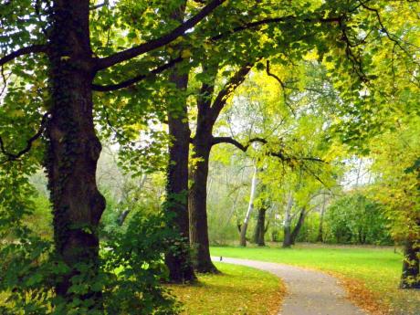 Die Parade der Bäume - Wolfgang Bergter - Array auf Array - Array - Die Parade der Bäume - Wolfgang Bergter - Array auf Array - Array -