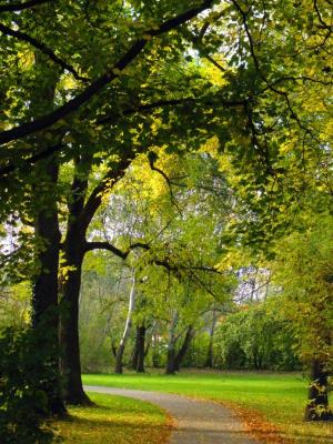 Weg unter Bäumen - Wolfgang Bergter - Array auf Array - Array - Weg unter Bäumen - Wolfgang Bergter - Array auf Array - Array -
