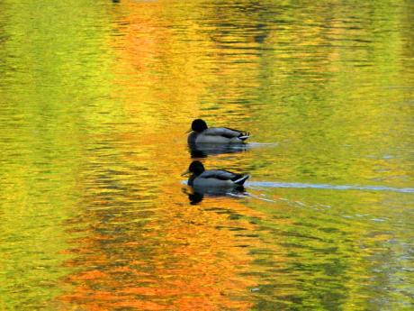 Gemeinsam - Wolfgang Bergter - Array auf Array - Array - Gemeinsam - Wolfgang Bergter - Array auf Array - Array -