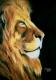 Kunstwerk - LÃ¶wenkopfportrait