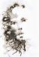 Art object - ---