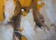 Art object - Tor des himmlischen Friedens