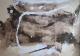 Art object - Tapies`cher Zirkel