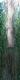 Art object - Verschollener Tempel