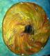 Art object - Rundes Materialbild