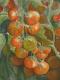 Art object - Tomatenstrauch