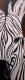 Art object - Zebra