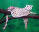 Art object - Steppe 