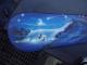 Art object - wasserfall blau auf snowboard