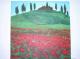 Art object - Mohnfeld