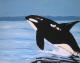 Art object - Orcinus orca
