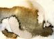Art object - wealth of detail XXXIV