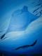 Art object - MantaÂ´s