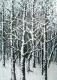 Art object - winter_05