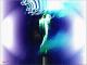 Art object - universo 0238