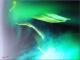 Art object - universo 0236