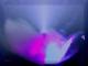Art object - universo 0231