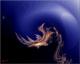 Art object - universo 0241