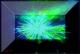 Art object - universo 0045