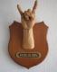 Art object - ROCK-TrophÃ¤e, Devilhorns