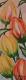 Art object - Tulpen III