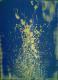 Art object - Clearness