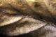 Art object - adern