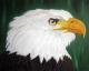 Art object - Der Seeadler