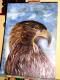 Art object - Adler1