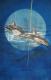 Art object - delfin2