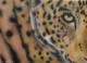 Art object - Leopard